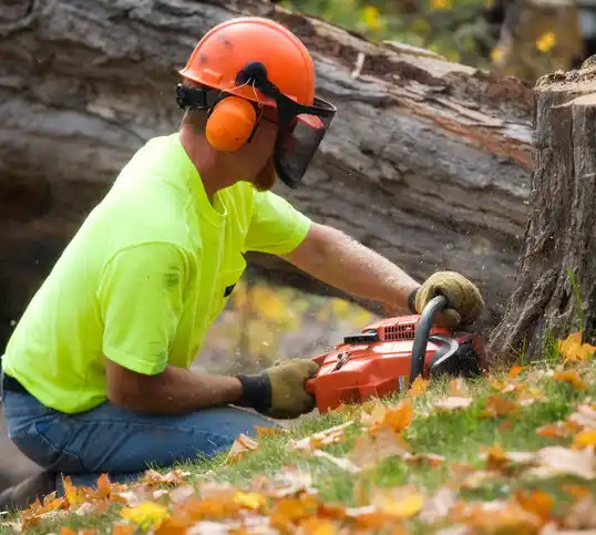 tree services South River